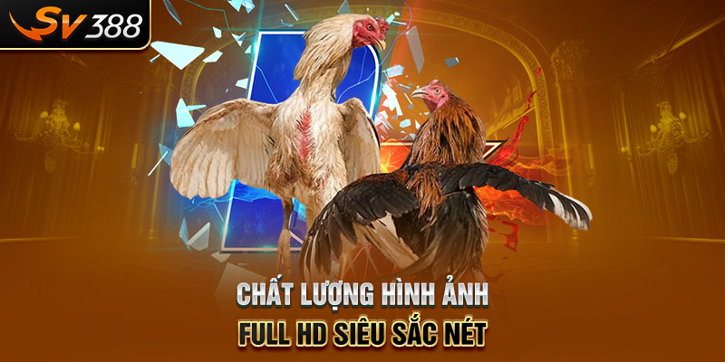 Chất lượng hình ảnh full HD siêu sắc nét