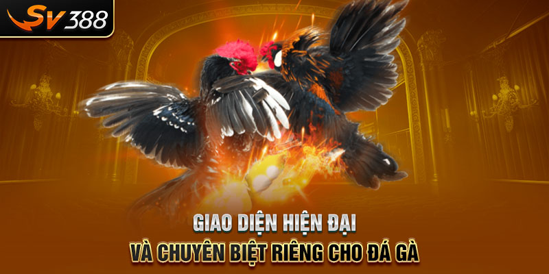 Giao diện hiện đại và chuyên biệt riêng cho đá gà