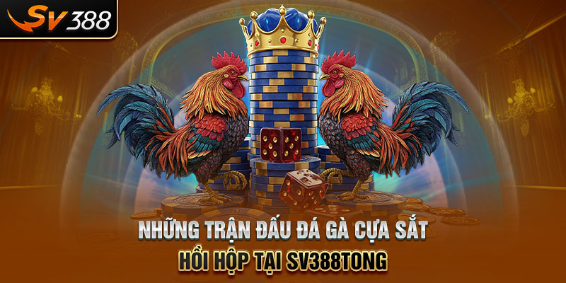 Những trận đấu đá gà cựa sắt hồi hộp tại SV388tong