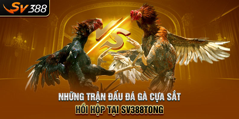 Những trận đấu đá gà cựa sắt hồi hộp tại SV388tong