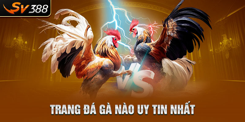 Trang Đá Gà Nào Uy Tín Nhất